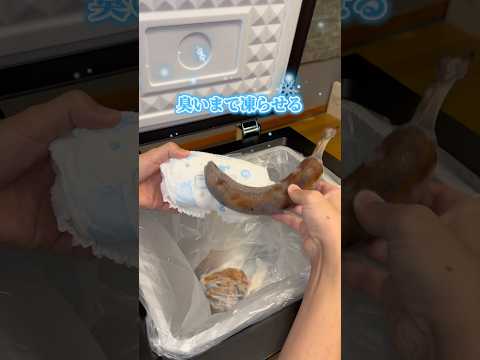 【冷凍ゴミ箱】電気代が衝撃！
