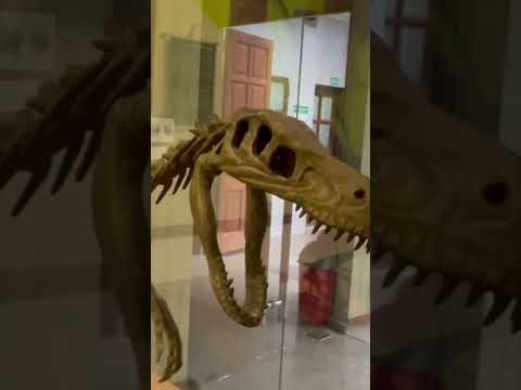 Bảo tàng thiên nhiên