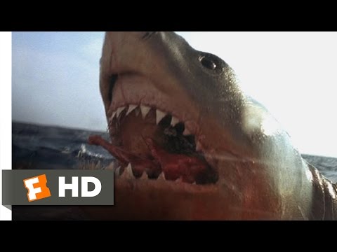 Jaws: The Revenge (3/8) Movie CLIP - You Got 'Im (1987) HD - UC3gNmTGu-TTbFPpfSs5kNkg