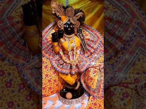 बोलो वृंदावन श्री बांकेबिहारी लाल की जय 🦚🌸🙏#virdavan #bankebihari #ytshaorts #shorts