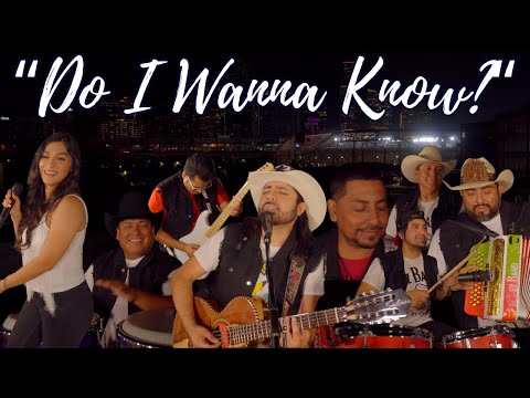 Do I Wanna Know? -  EZ Band (Official Video)