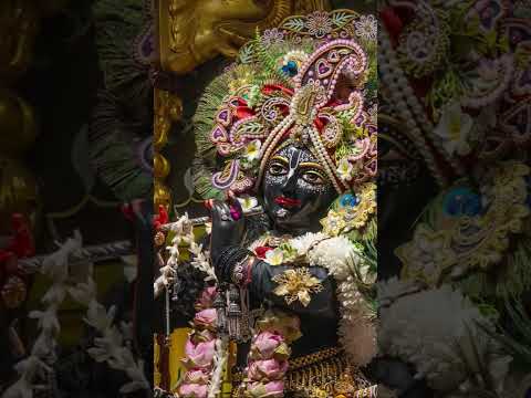 #love #song #vlog #sorts