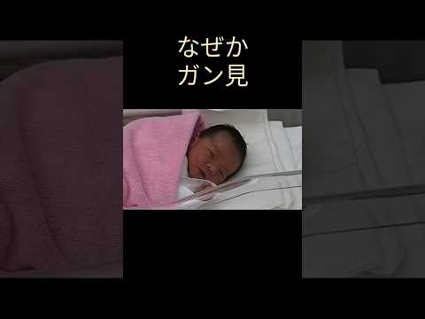 生後2日目の赤ちゃん。泣きそうで泣かない。癒やされます。 #新生児 #赤ちゃん #産まれたて #産婦人科 #産院 #かわいい #にっこり #ほっこり #天使#かわいい #ファミリー