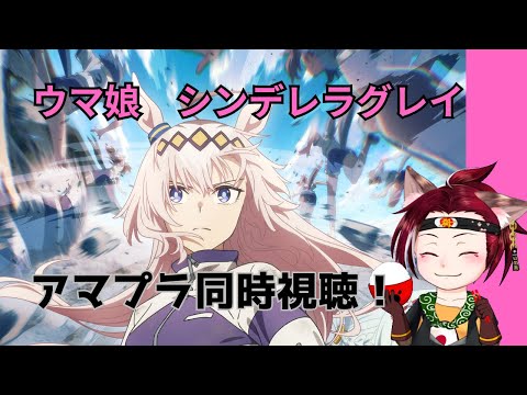 thumbnail_sfvTj-luiLU