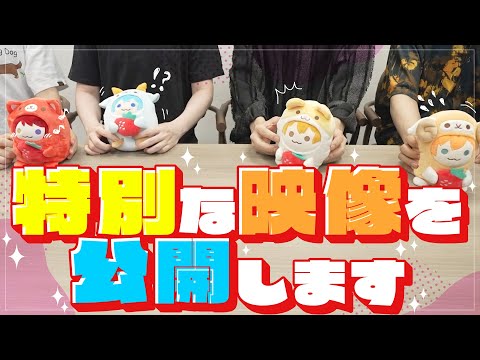 【生放送】秘密にしていた特別な映像を公開します【すとぷり】