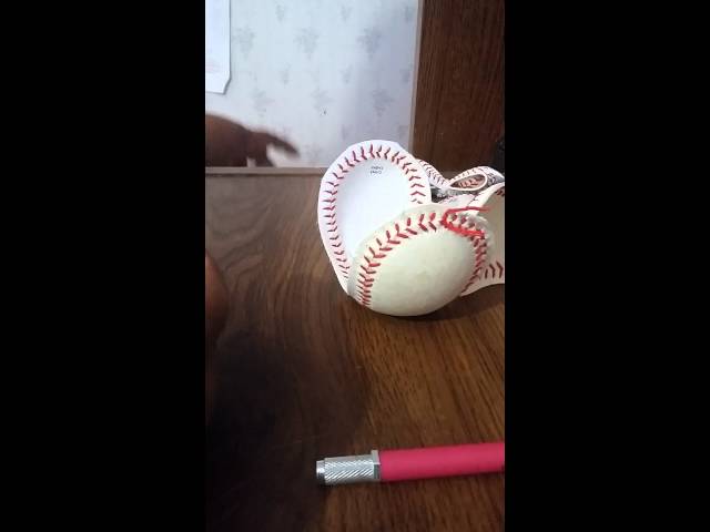 How to Make a Baseball Bow