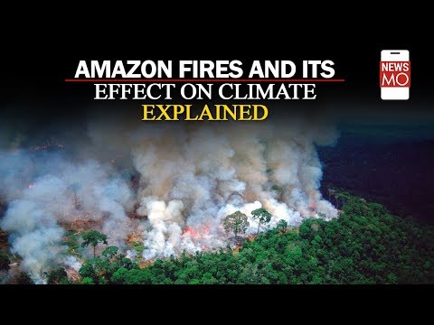 Video - Environment - Amazon Rainforest Fire & its Effect Explained : All You Need to Know #Reality