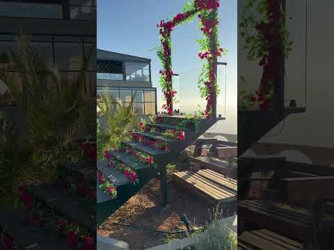 ♥️♥️#هوا_بيسان #اكسبلور #كامري #coversong #ترند #محركات #musiccover #songcover #automobile #مايكاب