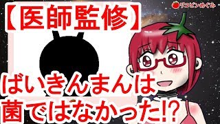 【医師監修】ばいきんまんは菌ではなかった!? 驚愕の正体とは!!