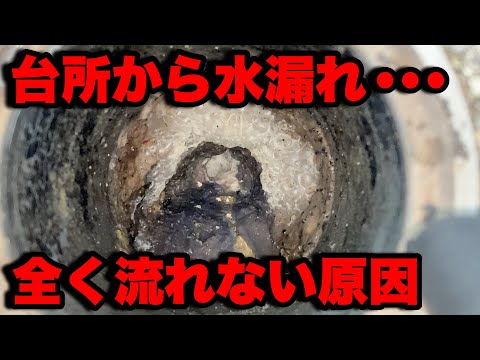 【詰まり抜き】水が全く流れない！！シンクしたから水漏れ！！ダブルトラップで油が固まっていました！！！