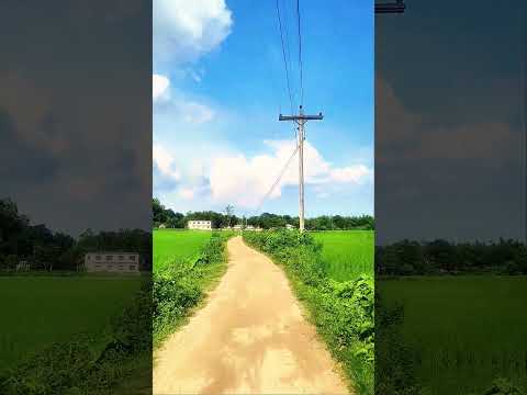 ফিল্টার ব্যবহার করা ভিডিও যদি আপনাদের কাছে ভালো লাগে এরকম করে সব ভিডিও দেয়ার ট্রাই করবো। #filter