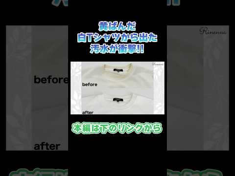 【切り抜き】黄ばんだ白Tシャツから出た汚水が衝撃😱💥#shorts #洗濯 #tシャツ #黄ばみ #つけ置き #汚水