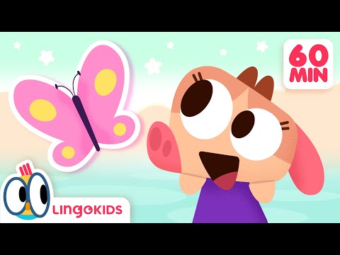 THE BUTTERFLY SONG 🦋🔍🎶 + More Songs for Kids | Lingokids