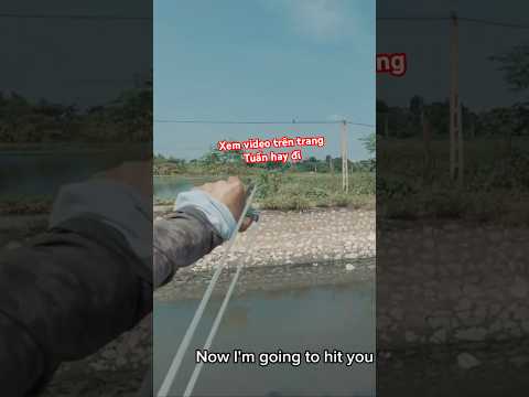 Đã có video full về chuyến đi săn vàng anh và món pịa. Mời anh em..