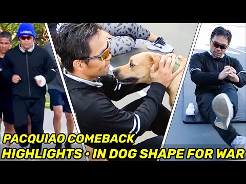 HIGHLIGHTS | Manny Pacquiao COMEBACK DAY 31 • GETTING IN DOG SHAPE FOR WAR