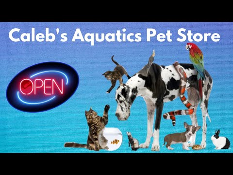 Opening A Pet Store At 15 Years Old ( Episode 1) Thanks For Watching Todays Video!

Social Media, 
Facebook_https://www.facebook.com/CalebsAquatics
I