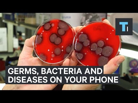 Germs, bacteria, and diseases living on your phone - UCVLZmDKeT-mV4H3ToYXIFYg