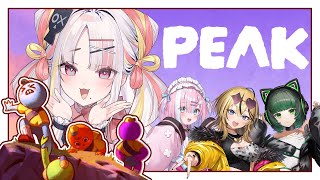 【PEAK】死なずに頂上に上り切れ！！協力して島から脱出を目指す！✨【＃雪白キャル /#ミクスト】