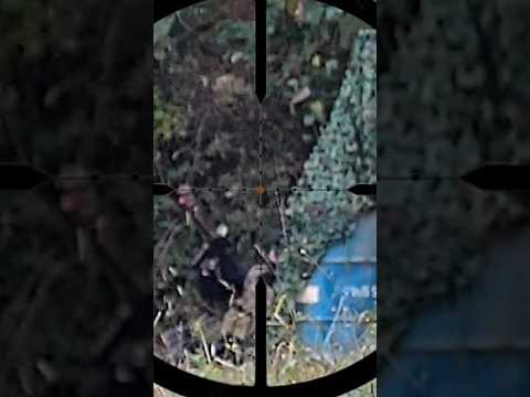 남우주연상 받을수도 있을거 같습니다 연기수준이 👍 #srsa2 #에어소프트게임 #시빌워 주최 @Molcom_airsoft