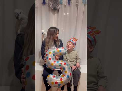 Happy 5th Birthday to Rémi 🎂 #cockatoo #happybirthday