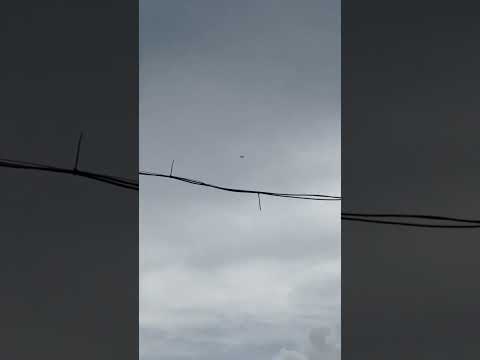 #trending#udi udi bimanare jiba #ytshorts#funny😋😋😋