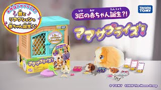 動画サムネイル