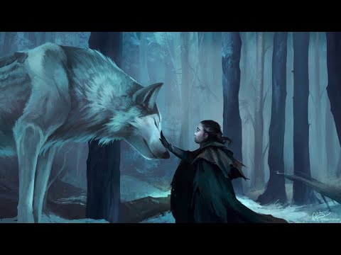 Peter Crowley - The Forest of Wolves | Epic Celtic Adventure - UC3zwjSYv4k5HKGXCHMpjVRg