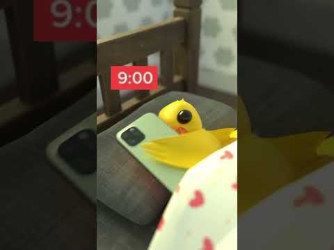 When door is open! 😦😦 #funny #duck #duckquack #funny