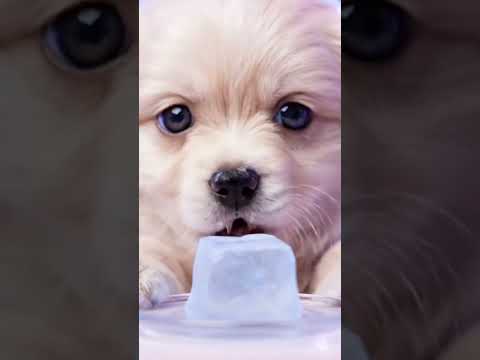 new asmr video 🤣😀 #shorts #shortsfeed