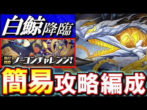 【+ポイント回収!!】白鯨降臨 お手軽シヴァドラ編成を紹介!!～ノーコンチャレンジ～【パズドラ】