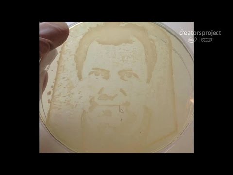 Crave - Science and art team up to create cancer cell and bacteria portraits, Ep. 174 - UCOmcA3f_RrH6b9NmcNa4tdg