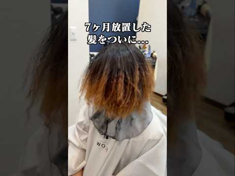 7ヶ月放置した髪を、ついに切った日。