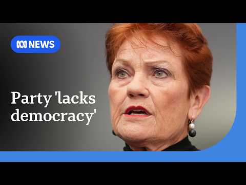 One Nation run 'like a small business', fmr party member says | ABC NEWS