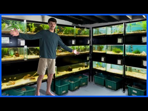 Building A FISH SHOP In My Basement! In this video, I show you guys my new fish shop and set up its first plant bin! Thanks for watching,