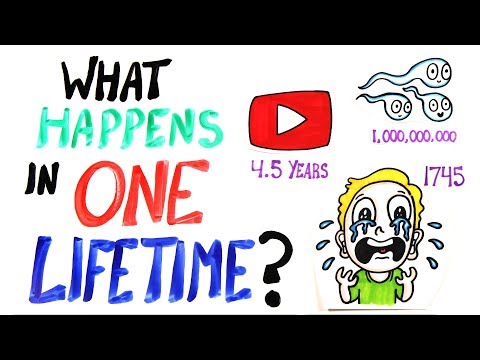 What Happens In One Lifetime? - UCC552Sd-3nyi_tk2BudLUzA