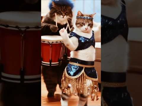 Cute cat dance #cute #cat #dance #fyp #foryou #dance #viral #viralvideo