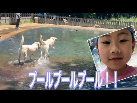プールプールプールプール!!!