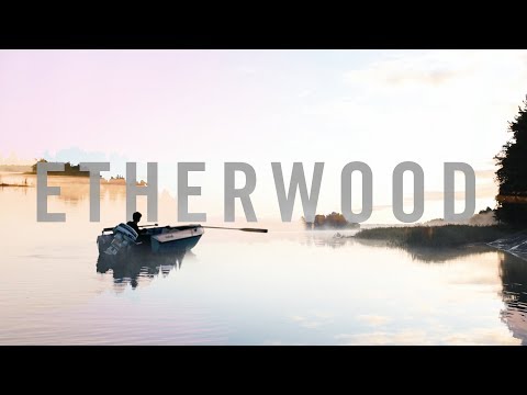 Etherwood - You're Missing Life - UCNyo1qwT4ZKuoWsyrrdoc6g