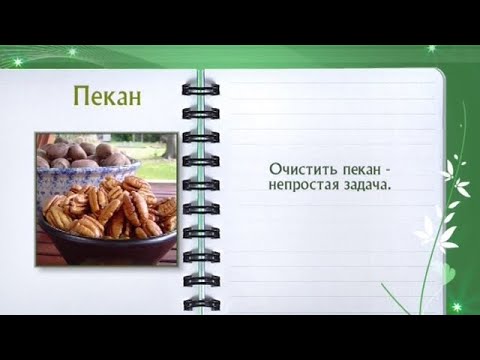 Кулинарная энциклопедия - Пекан - UC7XBjhXnmmXFsxmnys9PmDQ