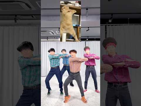 明けましておめでとうございます 新年1発目の猫ダンスです。