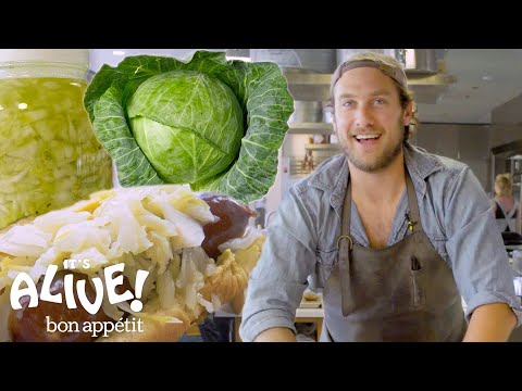 Brad Makes Sauerkraut | It's Alive | Bon Appétit - UCbpMy0Fg74eXXkvxJrtEn3w