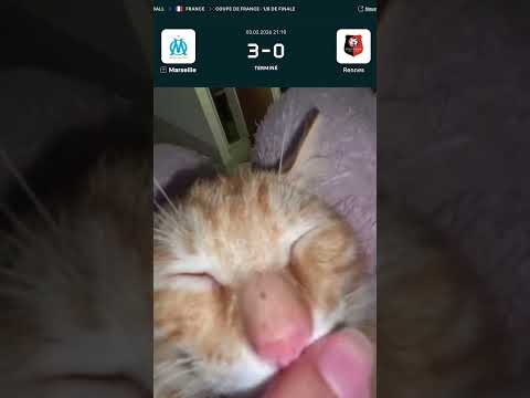 Rendez-vous au prochain tour 😴 #sportsshorts  #Marseille #Ligue1 #OM #meme