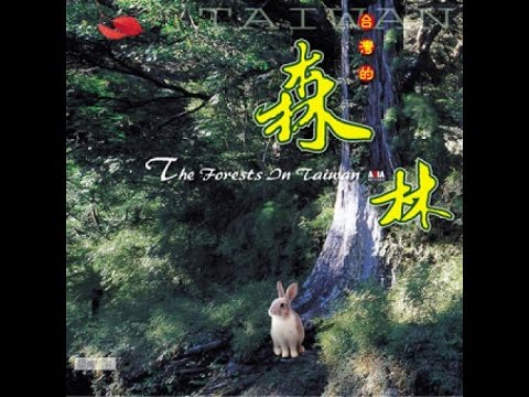 《明池霧影－北部橫貫公路．明池 ☆ Mist Upon The Ming-Chih》