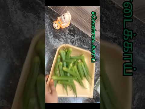 காளான் இப்படி வச்சா கருப்பாகமா இருக்கும் #mushroom #ladysfinger #storage #fridge #idea #shorts #tips