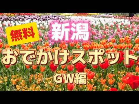 【GW】無料で楽しいおでかけスポット！2024新潟ダイジェスト