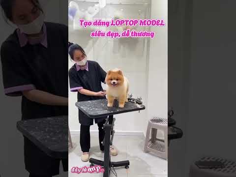 Tạo dáng thi MODEL cho các em