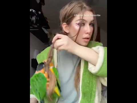 One parrot, two parrots 🦜 all have a story. #foryou #funny #funnymoment #cockatoo #cockatiel #cute