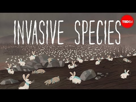 The threat of invasive species - Jennifer Klos - UCsooa4yRKGN_zEE8iknghZA