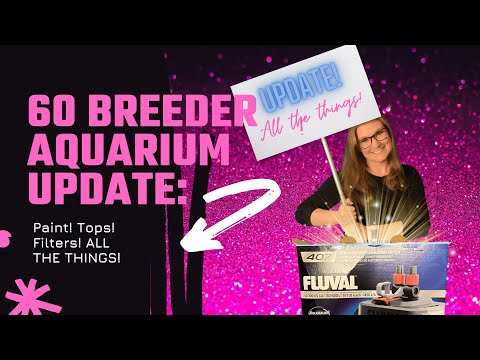 60 Breeder Aquarium Update_ Paint! Tops! Filters!  Everyone knows I'm beyond excited about this Aqueon 60 Gallon Breeder Aquarium I recently purchased 