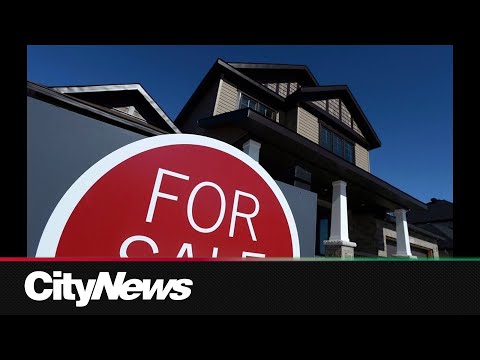 Business Report: The start of a Canadian real estate rebound?